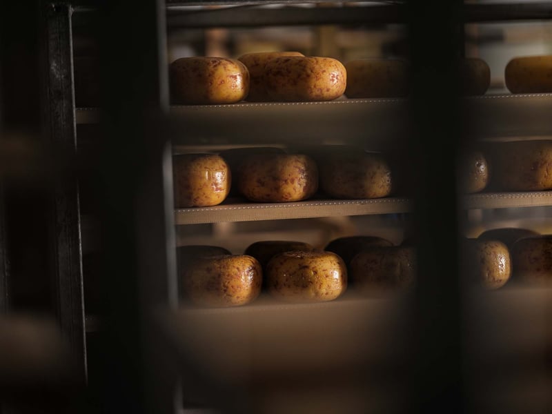 De ambachtelijke kazen van Van Meer Foods
