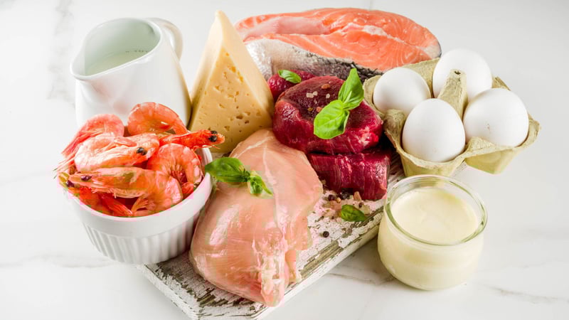 eiwitrijke producten zoals yoghurt, kaas, vis en vlees zijn essentieel voor spiergroei- en herstel