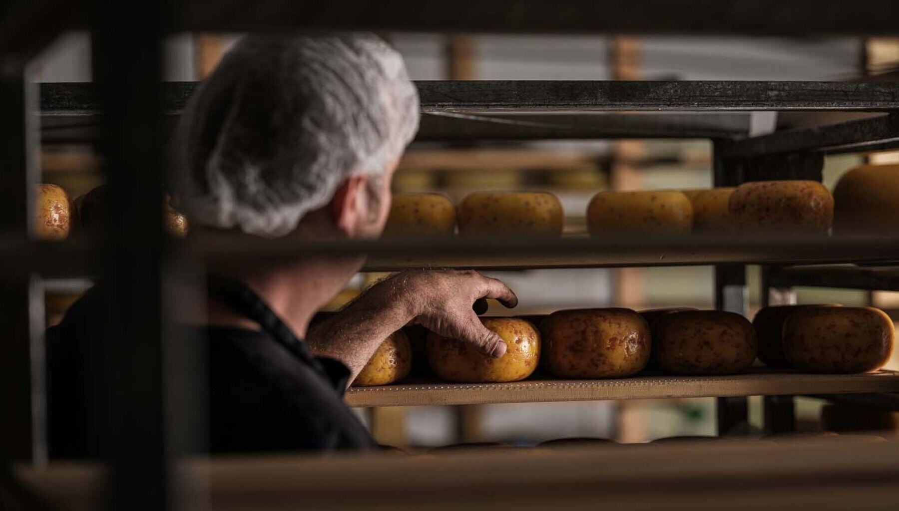 Employee in our cheese factory